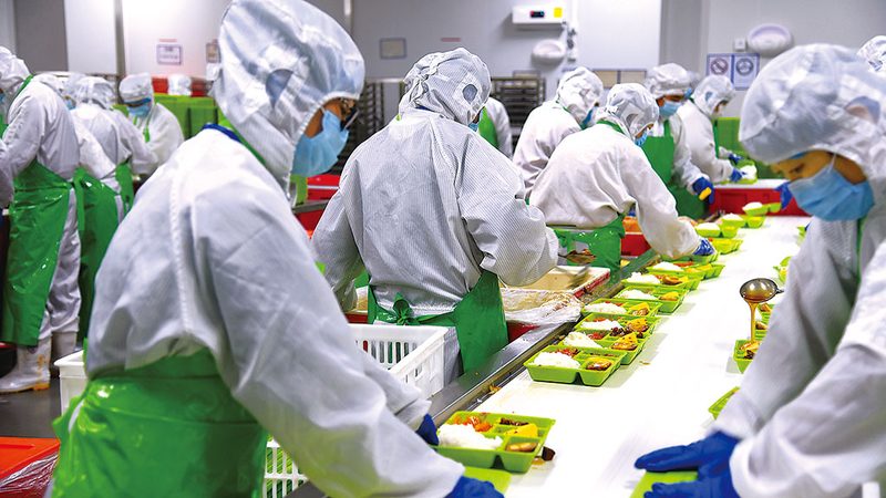低脂代餐饼干品牌测评